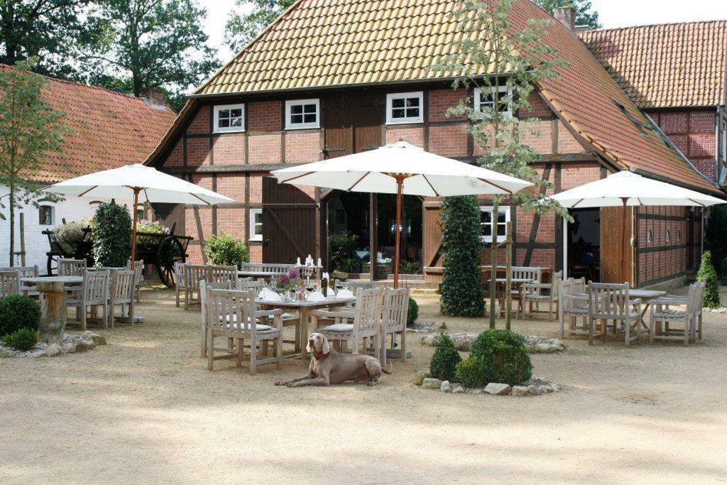 Eggershof Apartment Soltau Luaran gambar